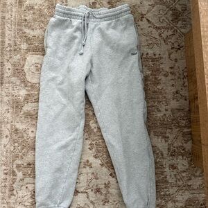 Aritzia TNA sweatpants